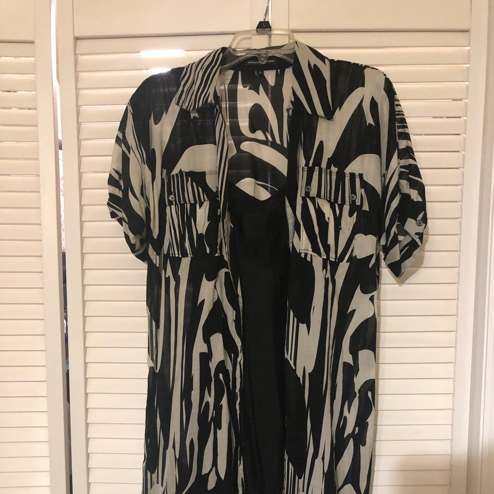 Zebra Print Dress